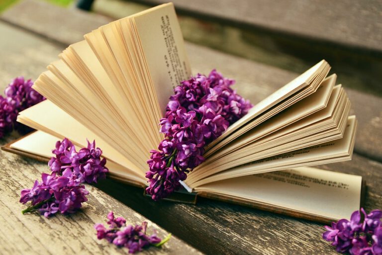 เตรียมความพร้อมก่อน รับเขียนบทความ ออนไลน์ ตอนทางตัน!!!