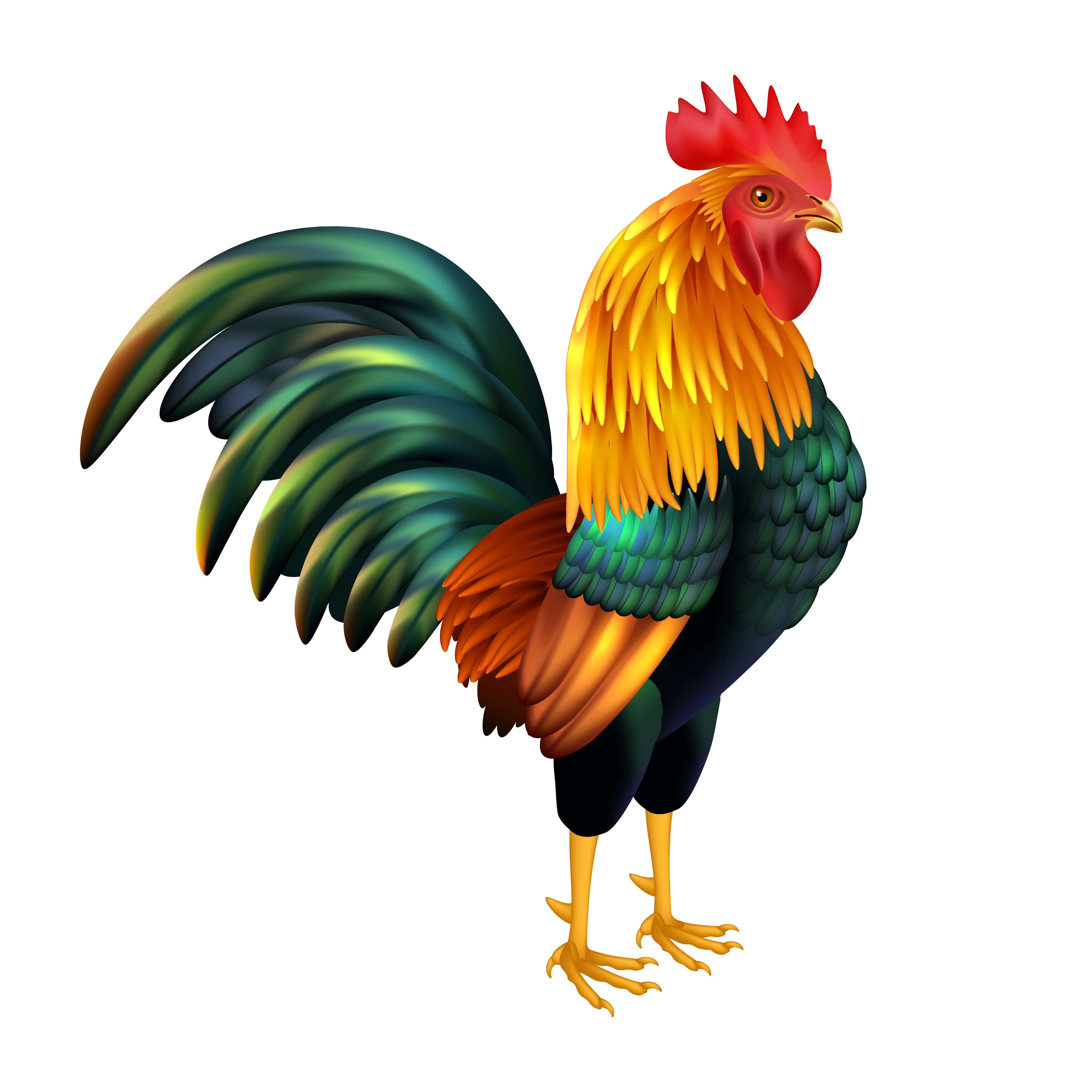 Img